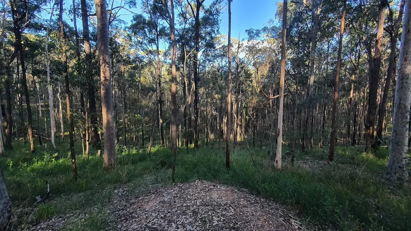 Daisy Hill Conservation Park