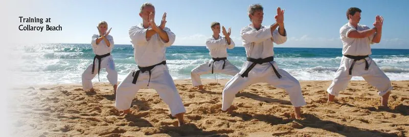 Shorinkan Shorin-Ryu Karate