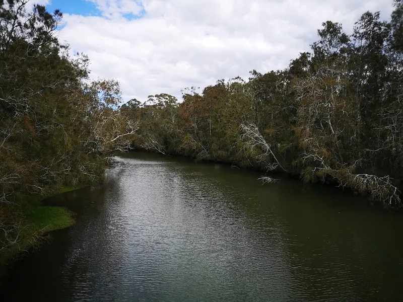 Narrabeen Swimming Club