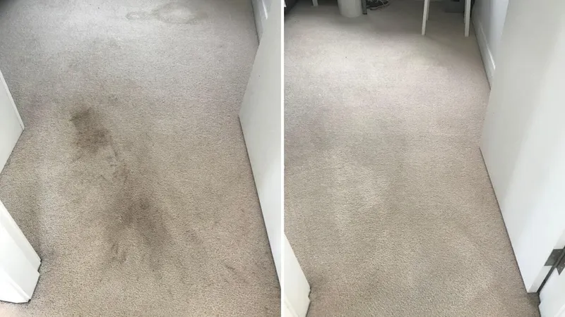 Waratah Carpet Cleaning