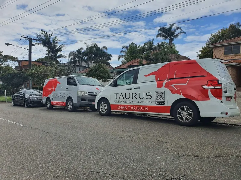 Taurus carpet cleaning