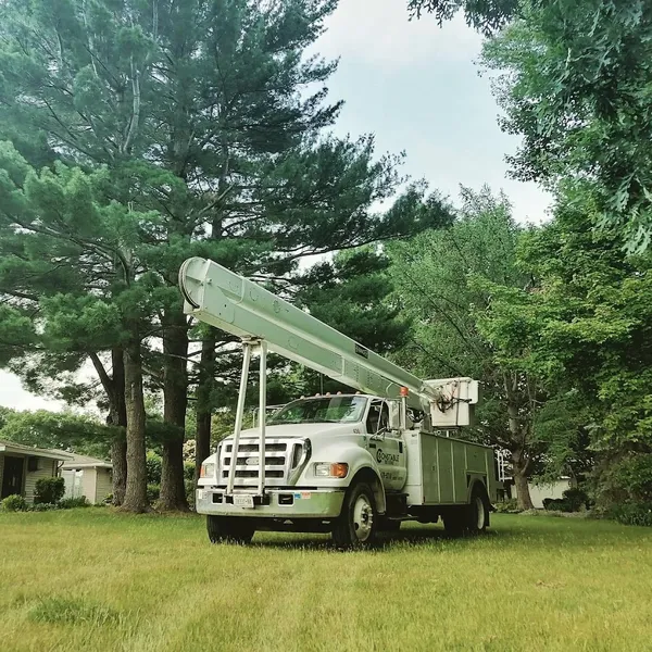 Premier Tree Services & Removal