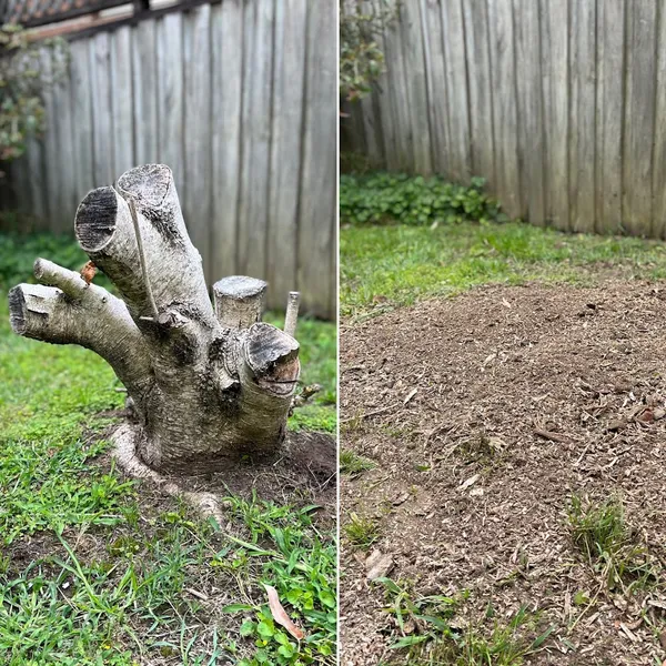 Southside Stump Grinding - Stump Removal Sutherland Shire