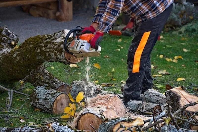 Tree Lopping Sutherland Shire