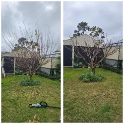 Best of 16 gardeners in Onkaparinga Adelaide