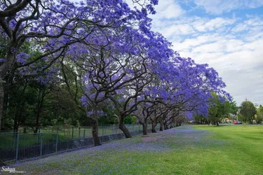 Top 25 parks in Bayside Council Sydney