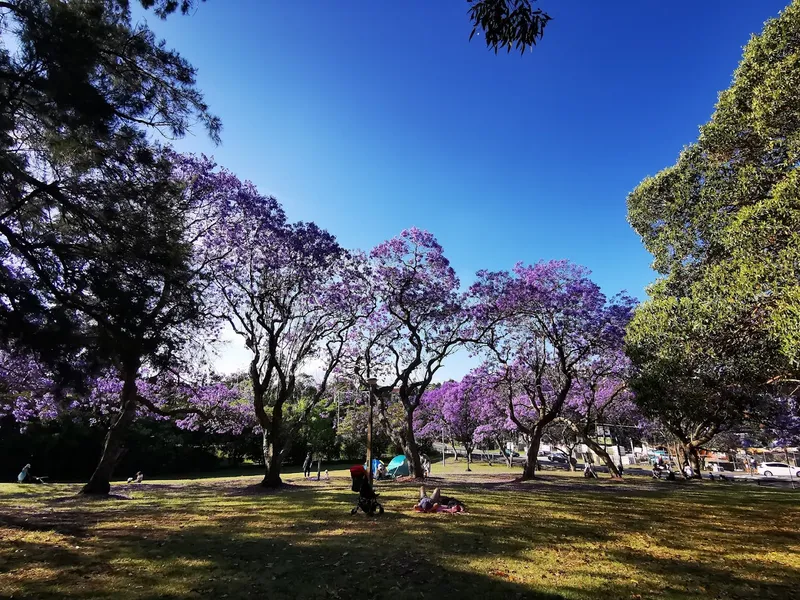 Hogben Park