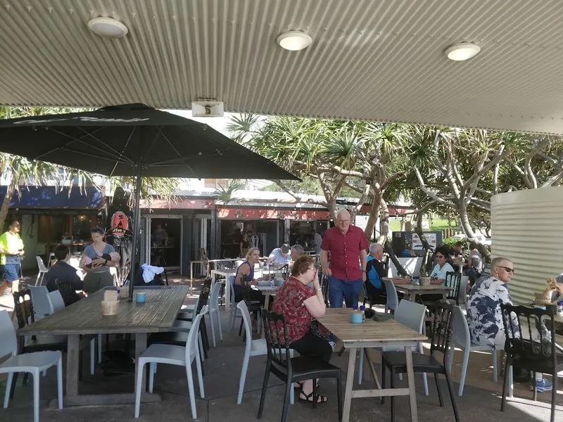 Coffee Cat On Kings Beach