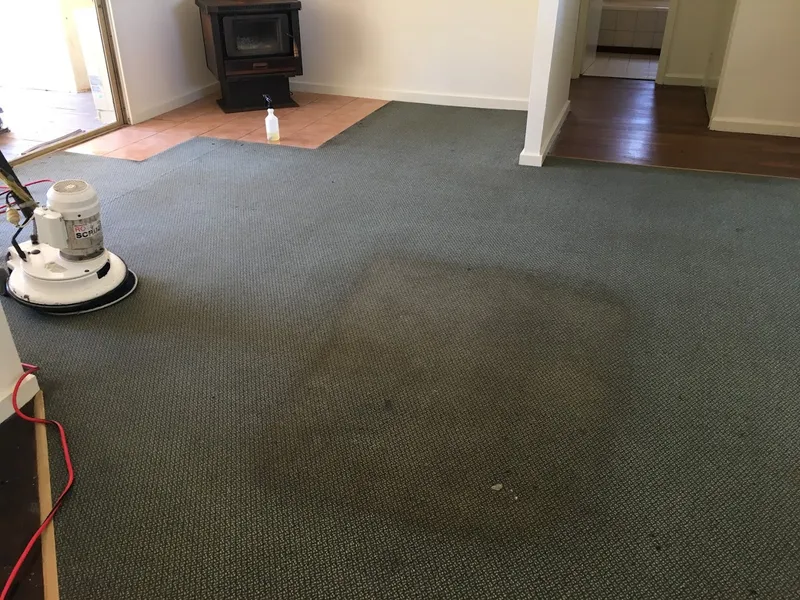 Swift-Dry MIDLAND Carpet Cleaning