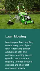 Top 6 lawn mowing in Hunter's Hill Sydney