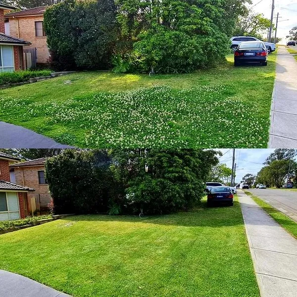 Sydney Mowing and Lawn Care Pty Ltd