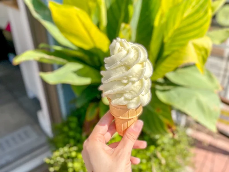 La Pizz Place Royale