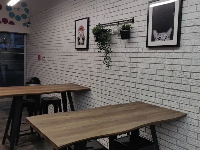 Monsieur Bubble - Ste-Foy