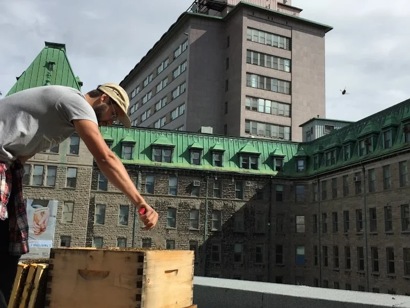 Chez Boulay-bistro boréal