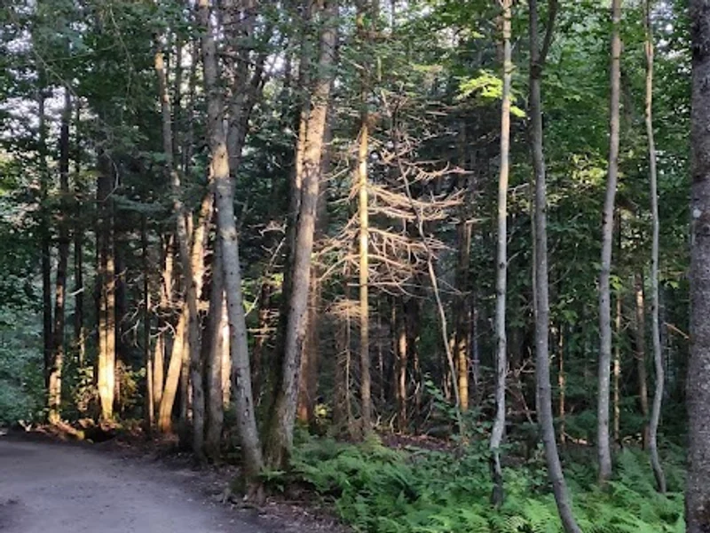 Mont-Bélair Natural Park
