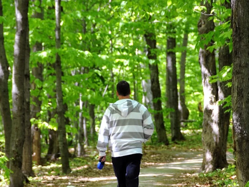 Montagne-des-Roches Park