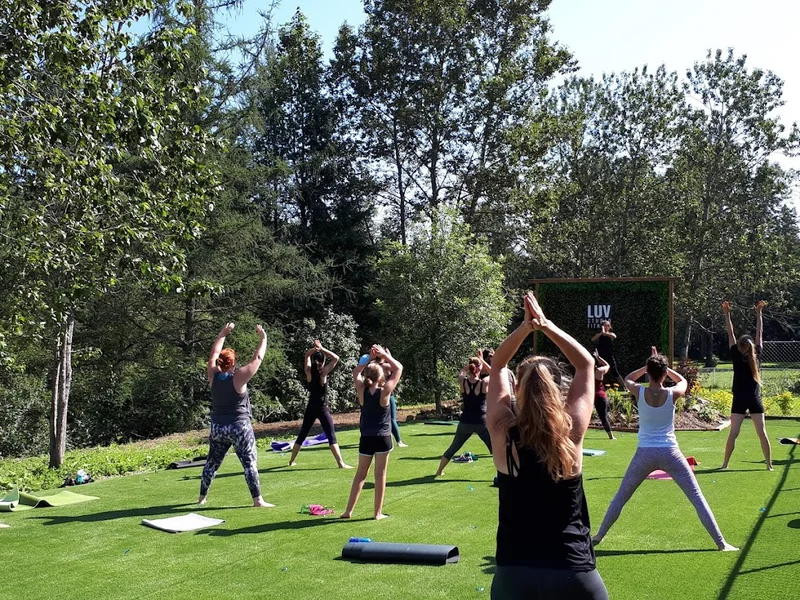 LUV STUDIO FITNESS Zumba Pound Buti yoga 65 ans