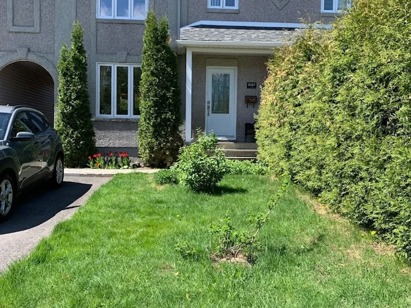 Guitar Lessons Guylaine Beaulieu