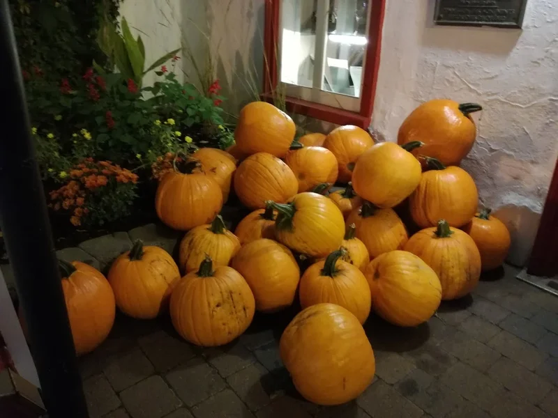 Auberge Jeunesse québec central