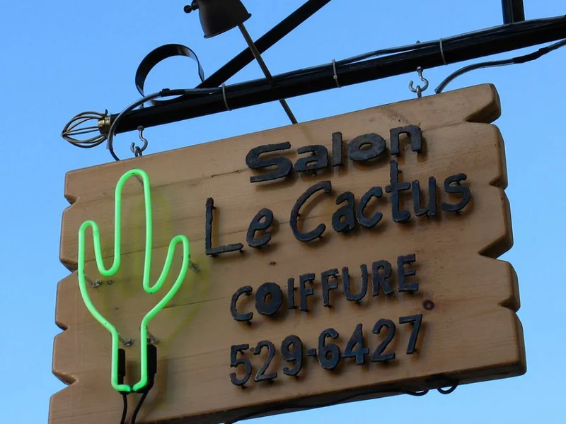 Salon Le Cactus