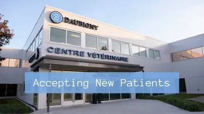 Top 20 animal hospital in Quebec