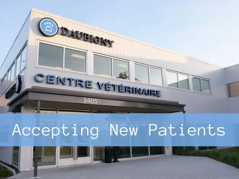 Centre Vétérinaire Daubigny