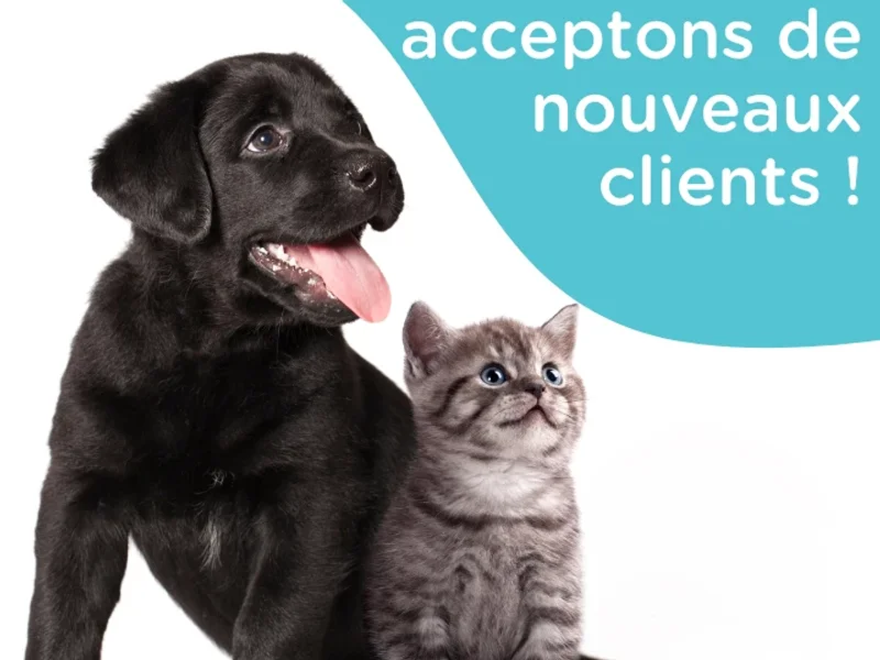 Globalvet - Clinique vétérinaire du Faubourg