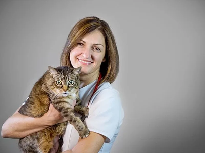 Hôpital Vétérinaire Lachapelle