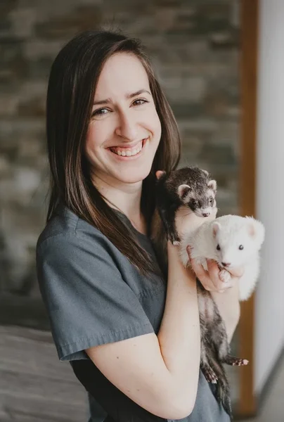 Veterinary clinic Old Limoilou inc.