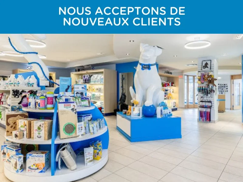 Globalvet - Veterinary Clinic Beauport