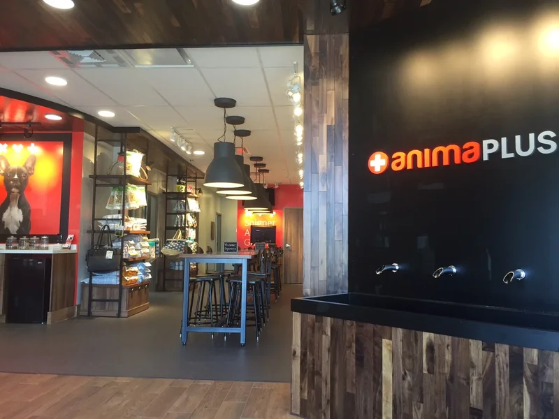 Clinique vétérinaire Anima-Plus Neufchâtel