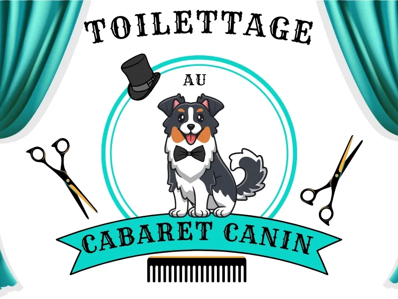 Toilettage Cabaret Canin (dans salon ca-lyne)