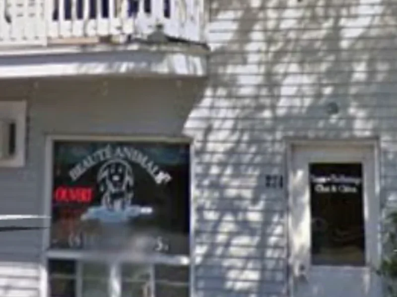 Beauté Animale Vanier Enr