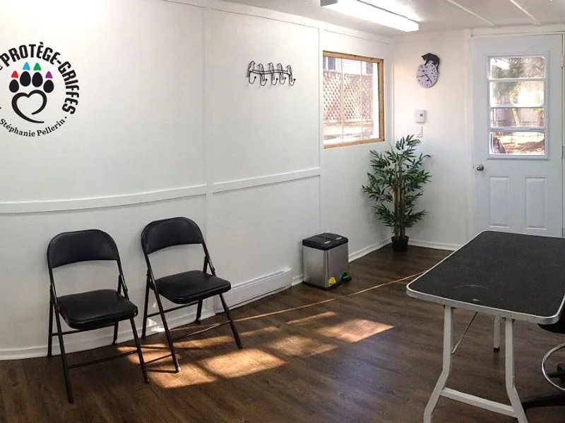 Protège-griffes Complexe Félin