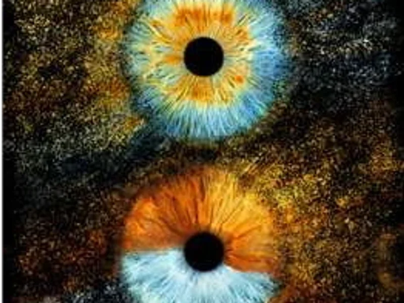 Iris Galerie Québec