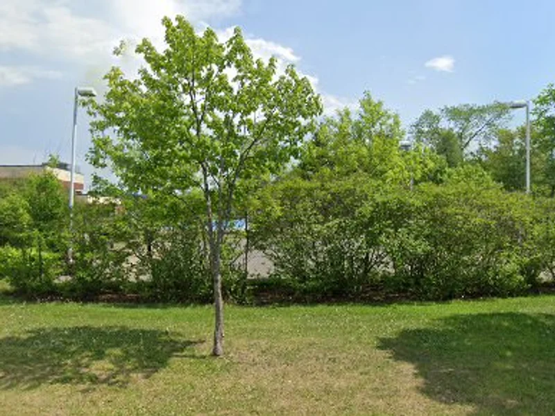 Piscine Municipale - des Trois-Saisons