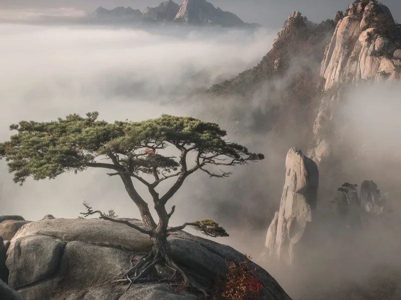 Matthieu Vachon Acupuncteur