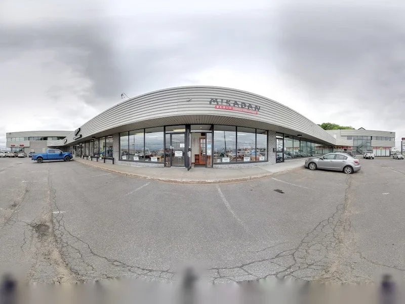 Mikadan - Distributeur-Acupuncture - Massothérapie (Micadan)