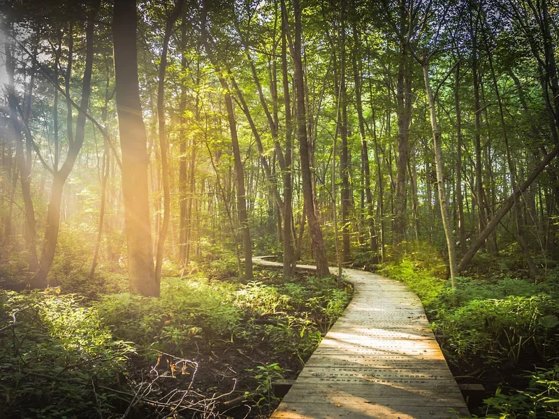 Clinique de soins énergétiques et d'hypnothérapie Sylvie Paradis