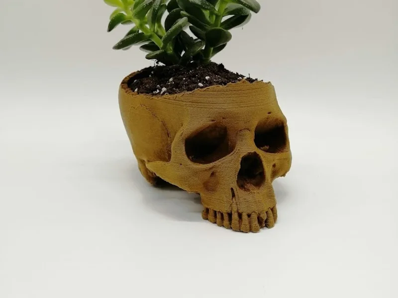 3DPrintQuébec Shipping Bee's Inc.