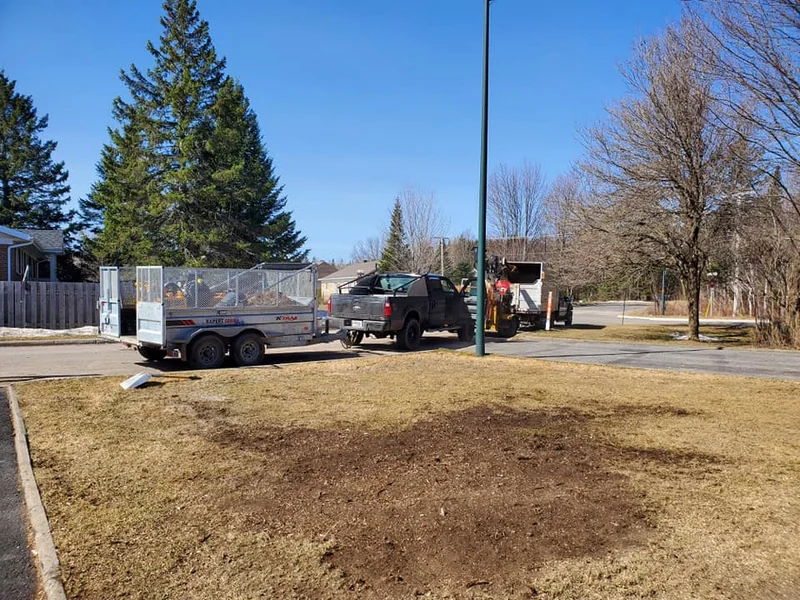 Service d'Arbres Alpha - Élagage Québec