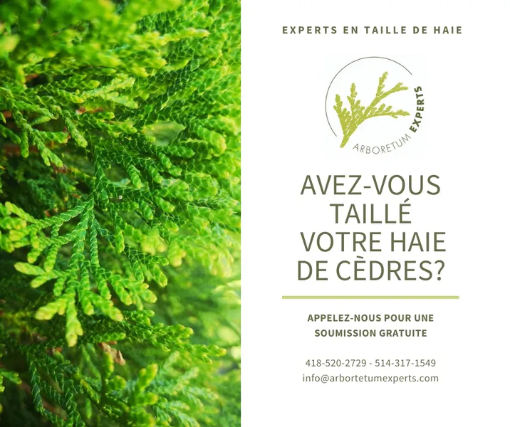 Arboretum Experts | Arboriculture, Horticulture, Entretien Paysager, Décoration Thématique à Québec