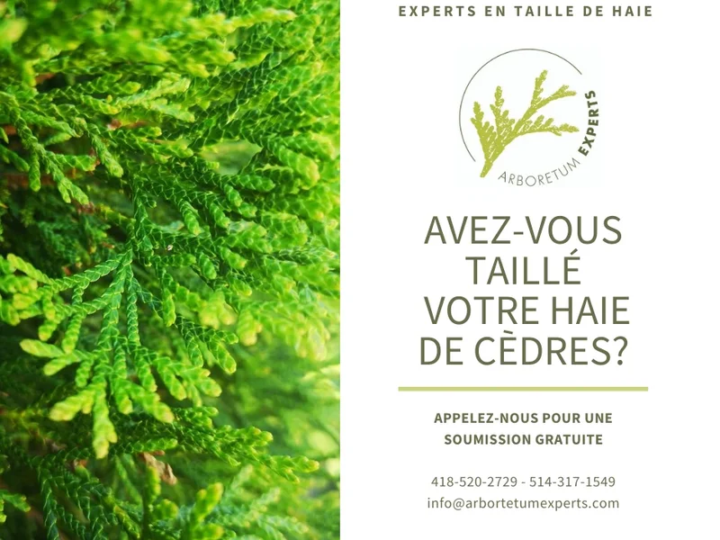 Arboretum Experts | Arboriculture, Horticulture, Entretien Paysager, Décoration Thématique à Québec