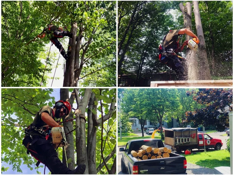 Morgan Tree Service