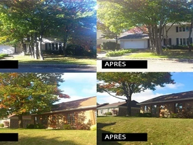 André Bouchard Service D'Arbres