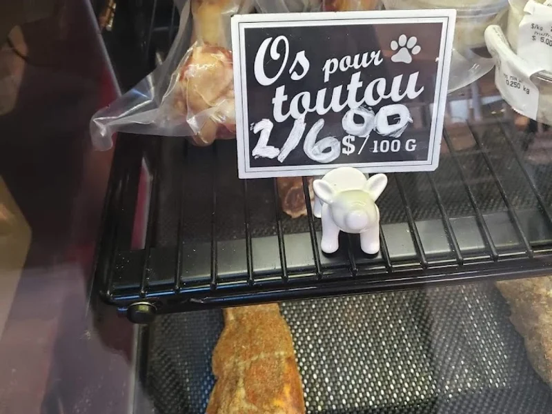 Cochon tout ronds