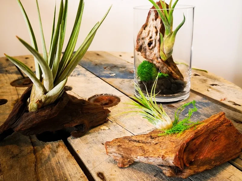 Fleuriste - Boutique WenDIY