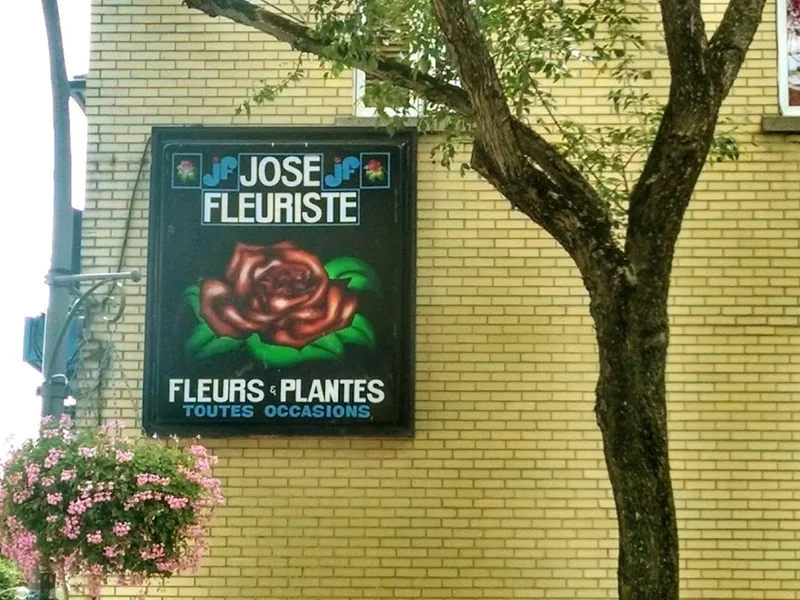 José Fleuriste