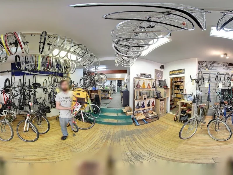 The Roy-O Bicycles