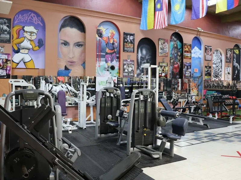 School Boxing Le Cogneur